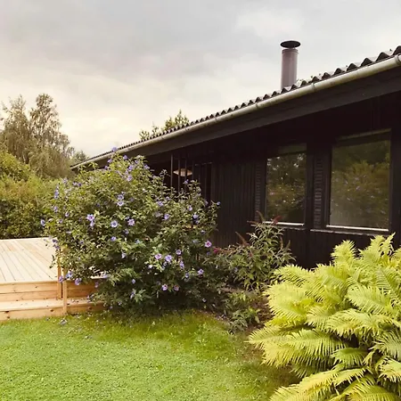 Peace At Lammefjorden In Bright 70s