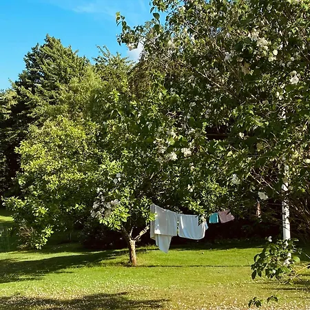 Peace At Lammefjorden In Bright 70s