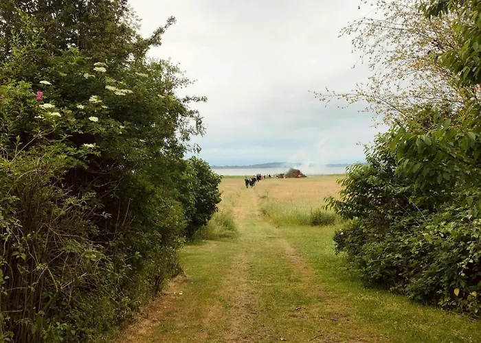 Peace At Lammefjorden In Bright 70s Grevinge