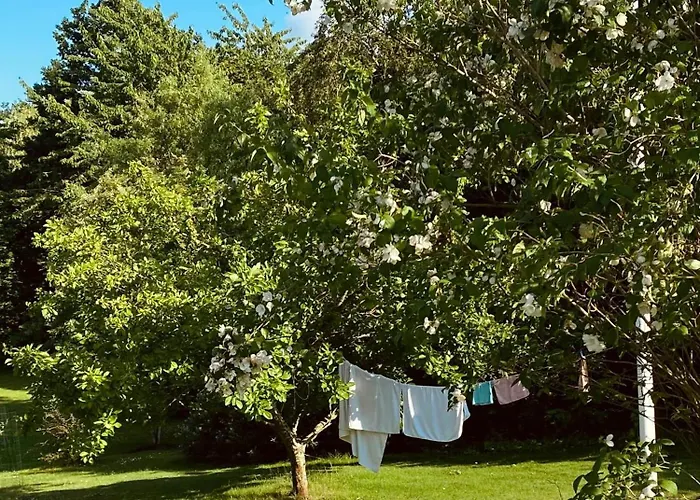 Peace At Lammefjorden In Bright 70s